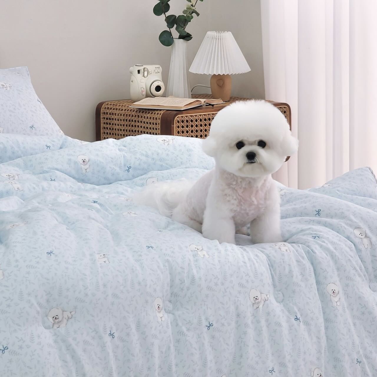 比熊犬格紋四季被