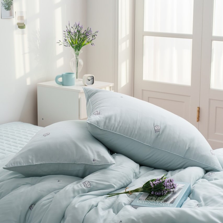 淺色貓貓四季被 (只有Single)