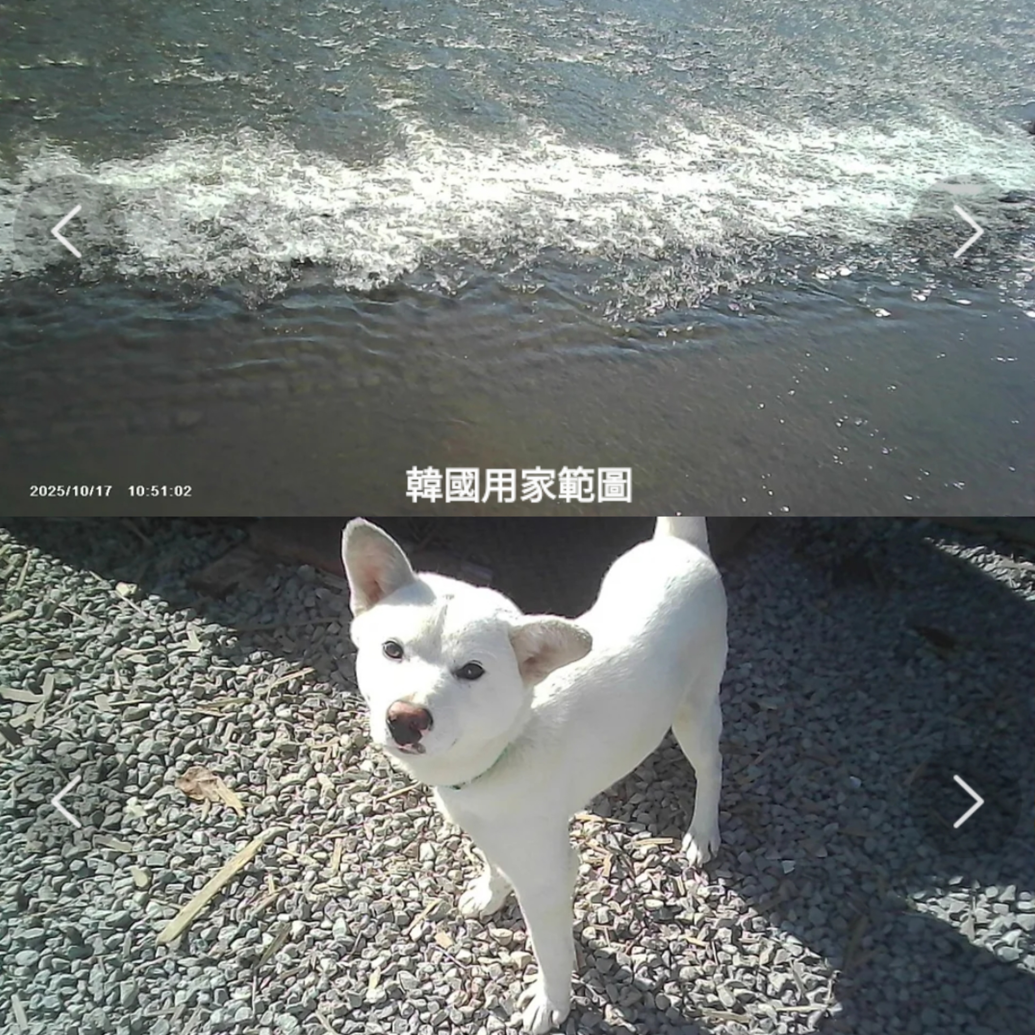 Y2K懷舊風迷你相機鑰匙圈