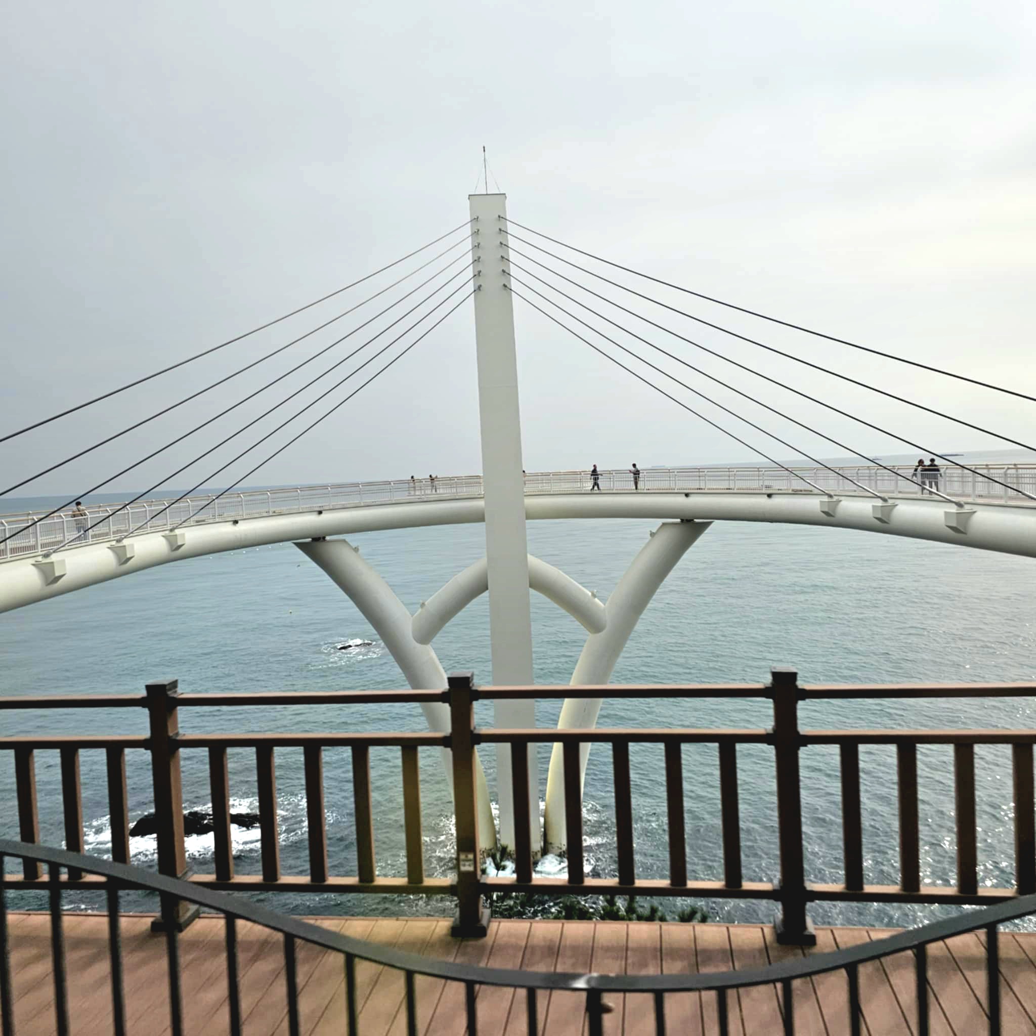 釜山天空膠囊列車/海岸列車代訂